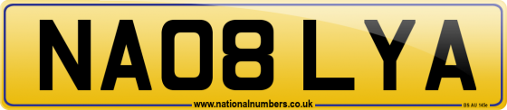 NA08 LYA