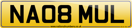 NA08 MUL