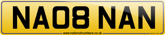 NA08 NAN
