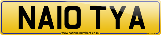 NA10 TYA