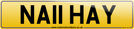 NA11 HAY