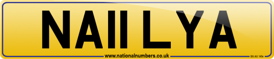 NA11 LYA