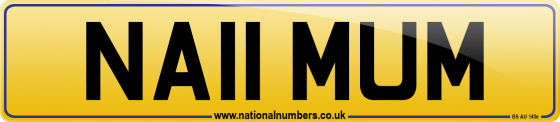 NA11 MUM