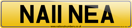 NA11 NEA