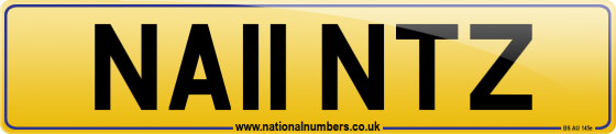 NA11 NTZ
