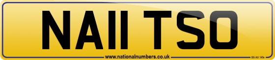 NA11 TSO