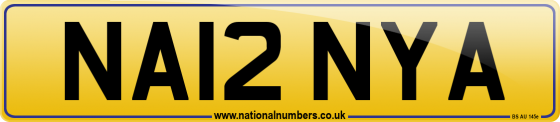 NA12 NYA