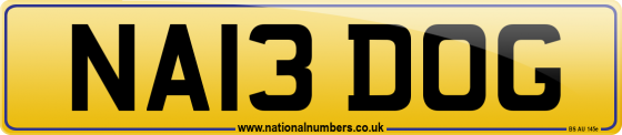 NA13 DOG