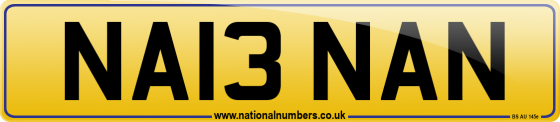 NA13 NAN