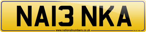 NA13 NKA