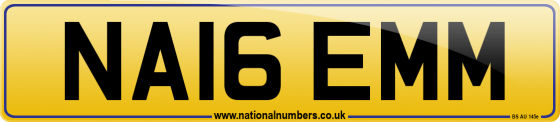 NA16 EMM