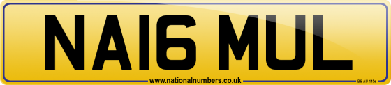 NA16 MUL