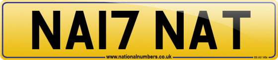 NA17 NAT