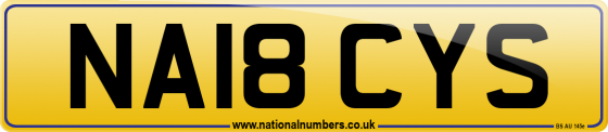 NA18 CYS