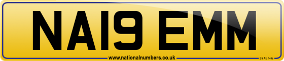 NA19 EMM