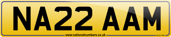 NA22 AAM