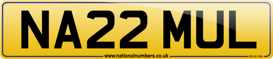 NA22 MUL