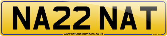 NA22 NAT