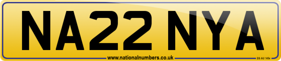 NA22 NYA