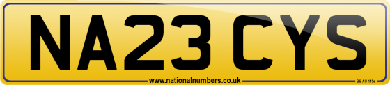 NA23 CYS