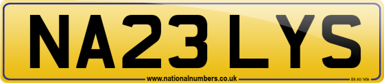 NA23 LYS