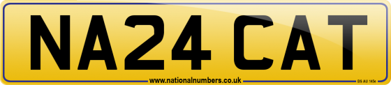 NA24 CAT
