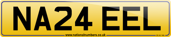NA24 EEL