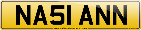 NA51 ANN
