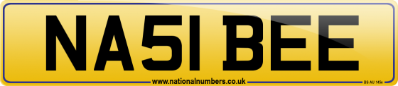 NA51 BEE