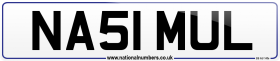 NA51 MUL