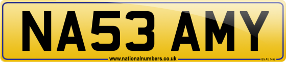 NA53 AMY