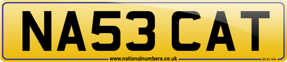 NA53 CAT