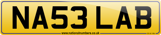 NA53 LAB
