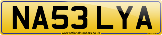 NA53 LYA