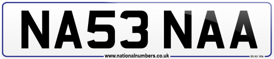 NA53 NAA