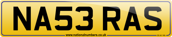 NA53 RAS