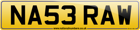 NA53 RAW