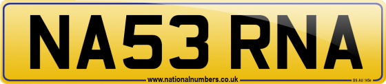 NA53 RNA