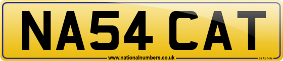 NA54 CAT