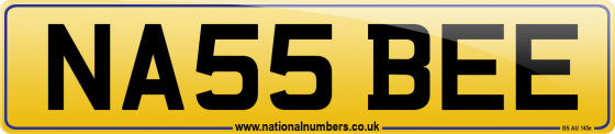 NA55 BEE