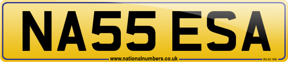 NA55 ESA