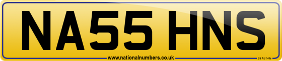 NA55 HNS