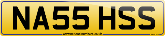 NA55 HSS