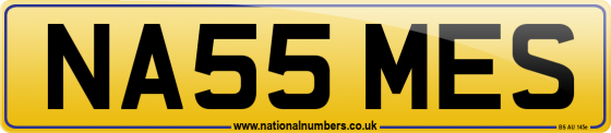 NA55 MES