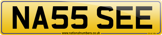 NA55 SEE