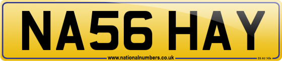 NA56 HAY