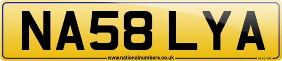 NA58 LYA