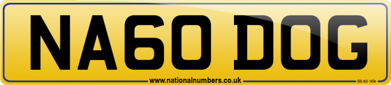 NA60 DOG