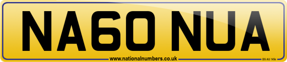 NA60 NUA