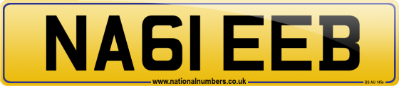 NA61 EEB